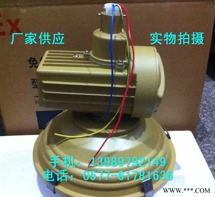 SBF6105-YQL120B吸顶式免维护节能防爆无极灯图2