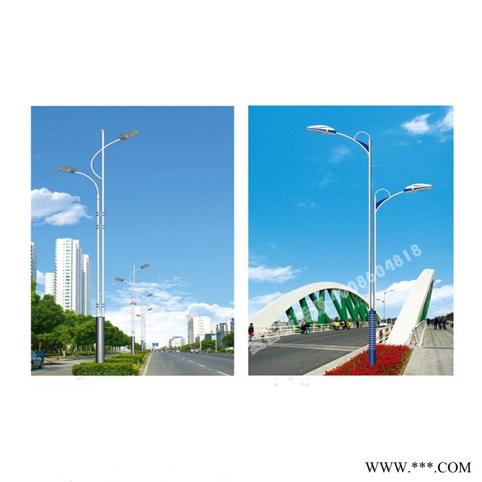 常年生产销售6-12M道路灯 150W/400W高压钠灯/金卤灯/无极灯光源 专业路灯厂家供货 多款型可选 道路灯批发