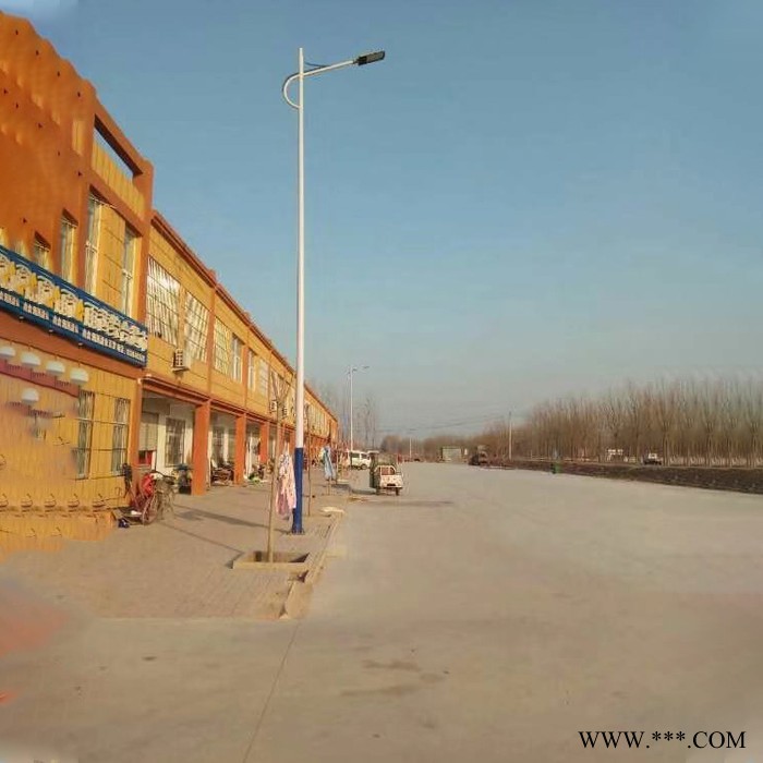 极之光周口200w新农村led太阳能路灯控制器图2