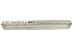 BYS-2X40W防爆防腐全塑荧光灯带单脚灯管 全塑双管防爆防腐荧光灯图1