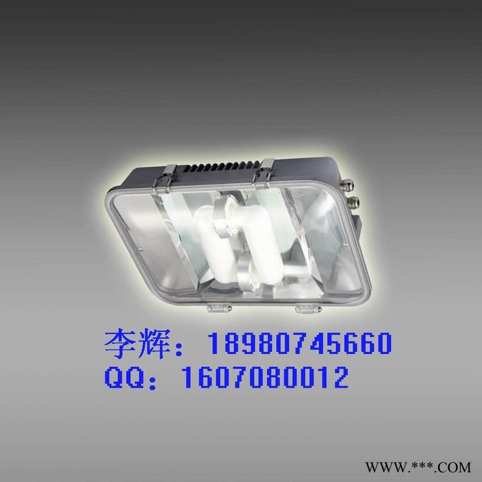 供应JL-NFC9176 长寿无极灯 JL-NFC9176蛟龙 NFC9176图2