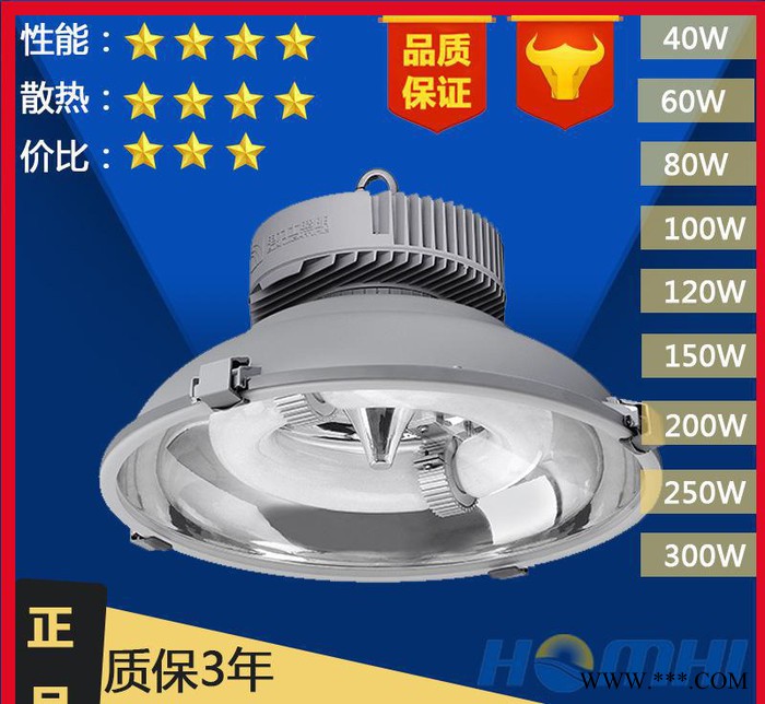 新款上市电力士GDD-226120/150/300W低频无极灯工厂高悬户外灯图3