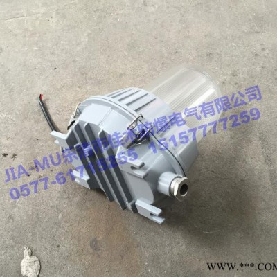 NYF9220-50W三防无极灯 防水防尘防腐工厂照明灯
