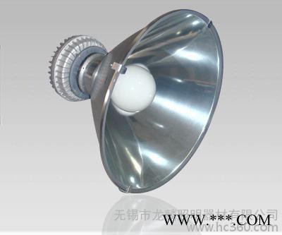 供应龙麟龙麟高品质无极灯图2