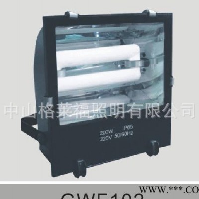 无极灯投光灯具 大功率射灯 节能环保 无极灯光源隧道灯 泛光灯