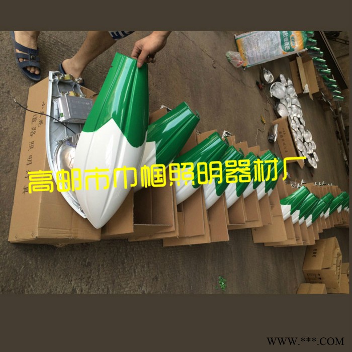巾帼  江苏路灯厂家 高频无极灯6  8 9 10米单臂 道路照明灯 马路灯特价图2
