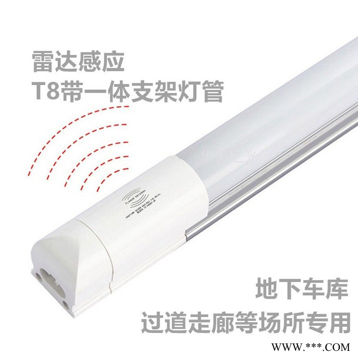 T8  LED雷达灯管** T8灯管图6