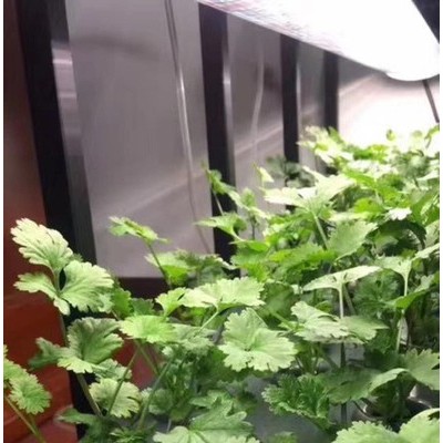 **Led植物灯18W 无极灯 工矿灯 隧道灯投光灯