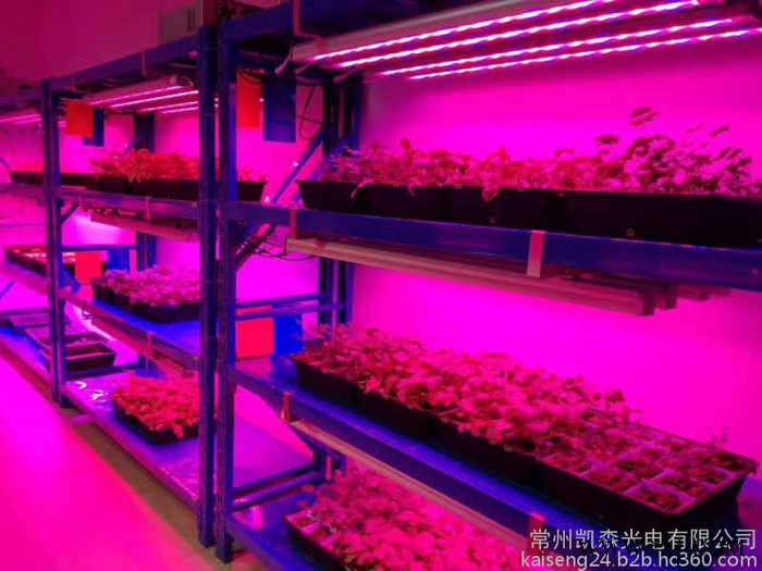 **Led植物灯18W 无极灯 工矿灯 隧道灯投光灯图2