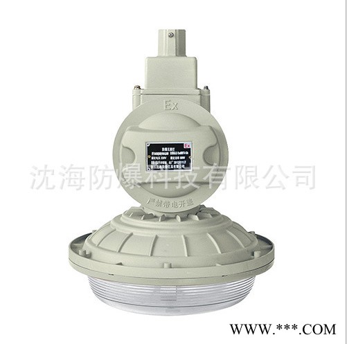 厂家供应沈海 SHD1103-50型 免维护节能防爆灯 防爆灯具 无极灯 环保节能图2