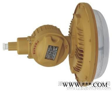 创瑞CRD6101防爆灯具  DIP A20 Ta. T4  面粉厂用防爆灯丨工业防爆灯丨防爆高频无极灯丨防爆工作灯图3