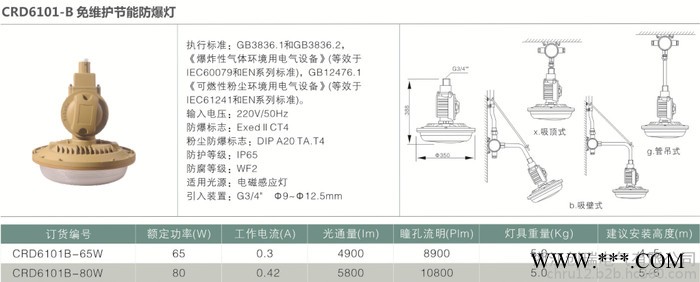 创瑞CRD6101防爆灯具  DIP A20 Ta. T4  面粉厂用防爆灯丨工业防爆灯丨防爆高频无极灯丨防爆工作灯图2