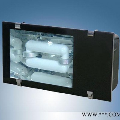 **隧道灯 低频无极灯隧道灯具40W 80W 120W 150W 200W 250W
