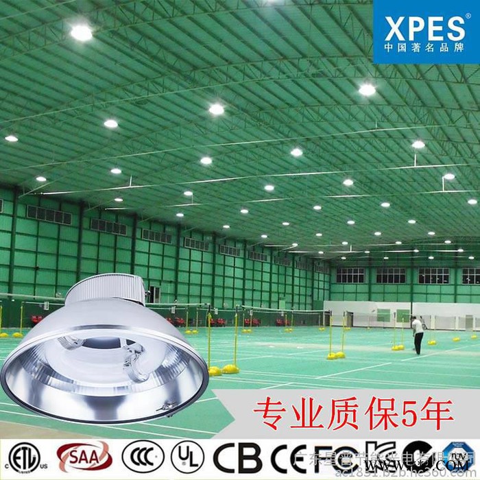 星普 无极灯 羽毛球场地用灯100W 200W 羽毛球场光灯光设计