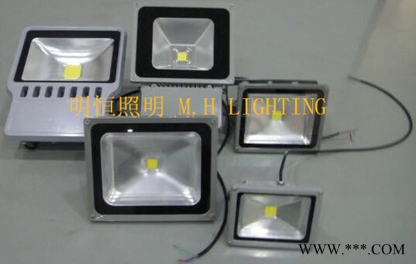 LED投光灯,LED泛光灯,广东LED投光灯直销,广东LED投光灯厂家,LED投光灯批发图1