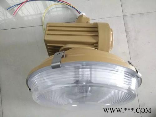 创瑞 CRD6101-A 免维护节能防爆灯  防爆无极灯 一体式防爆灯CRD6101-A 免维护防爆灯图3
