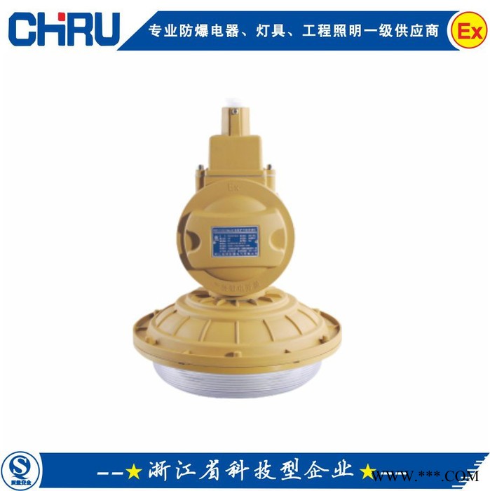 创瑞 CRD6101-A 免维护节能防爆灯  防爆无极灯 一体式防爆灯CRD6101-A 免维护防爆灯图1