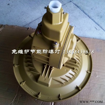 SBD1106-YQL65B免维护节能防爆无极灯