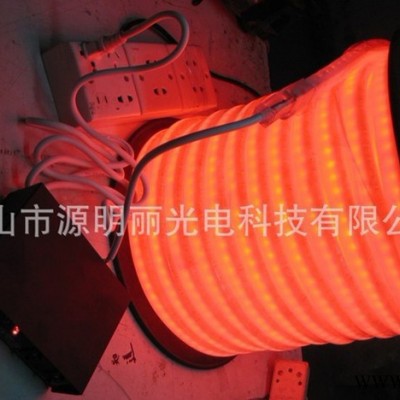 厂家 低价 圆二线软灯带/扁三线软灯带/LED彩虹管/LED霓虹灯