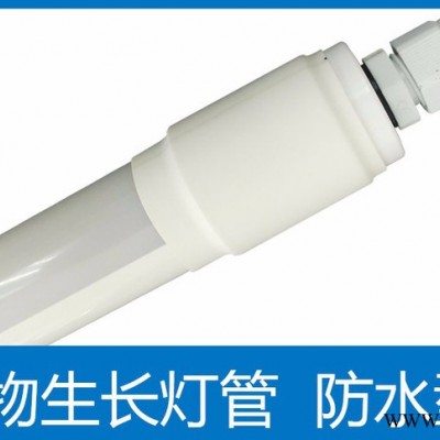 西楚照明   F防水植灯管