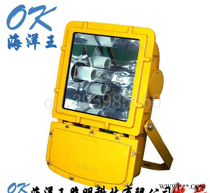 海洋王外场强光泛光灯强光防爆泛光灯BFC8110/HN泛光灯图3