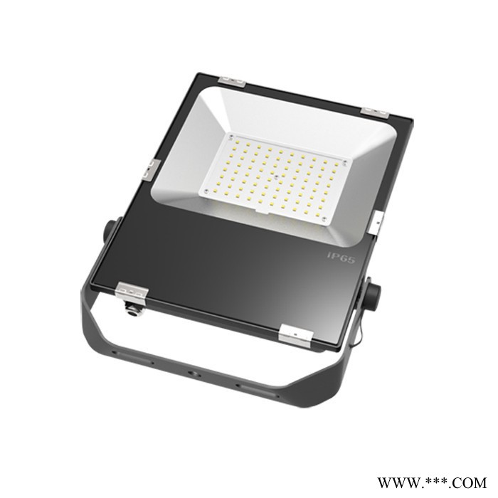 富利登EL-TG050LED投光灯泛光灯防水LED投光灯价格实惠图2