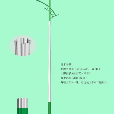 丰泽路灯厂专业生产9米56WLED太阳能路灯路灯单灯控制器