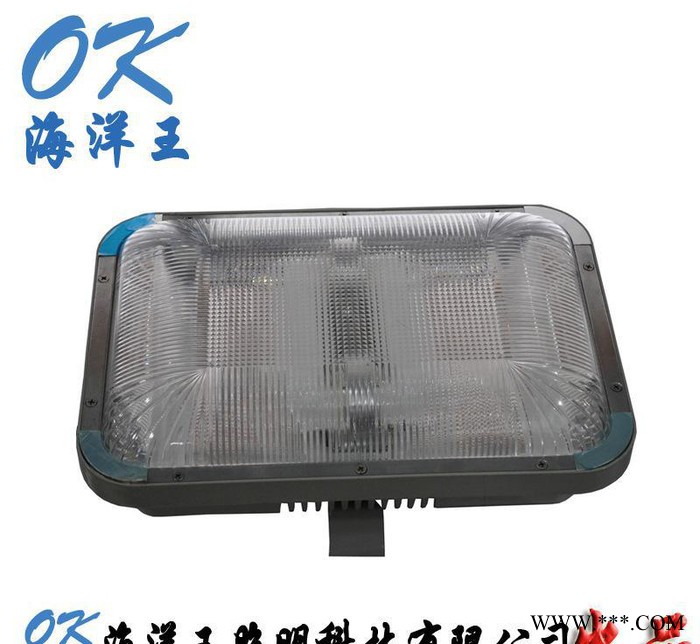 OK海洋王NFC9175长寿灯 华荣GC105无极灯 40W图1
