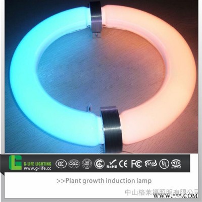 无极灯 植物生长灯 供应300W大功率 厂家批发大棚蔬菜花卉植物灯