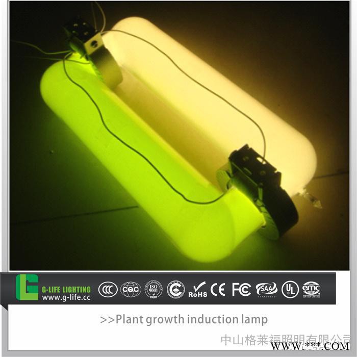 无极灯 植物生长灯 供应300W大功率 厂家批发大棚蔬菜花卉植物灯图2