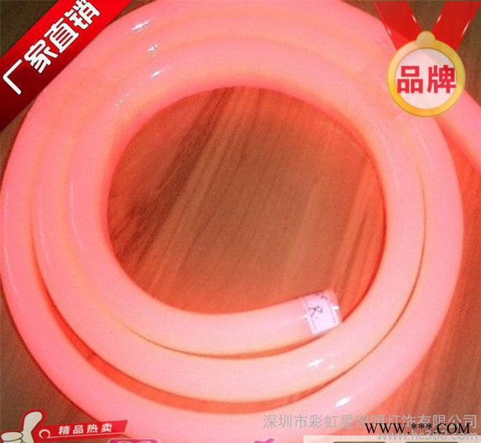 超亮  LED霓虹灯 **蓝色LED柔性霓虹管灯带80灯/米图3