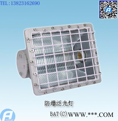 BAT(A)防爆泛光灯图4