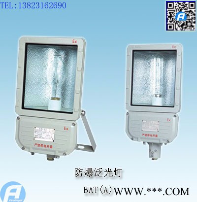 BAT(A)防爆泛光灯图1