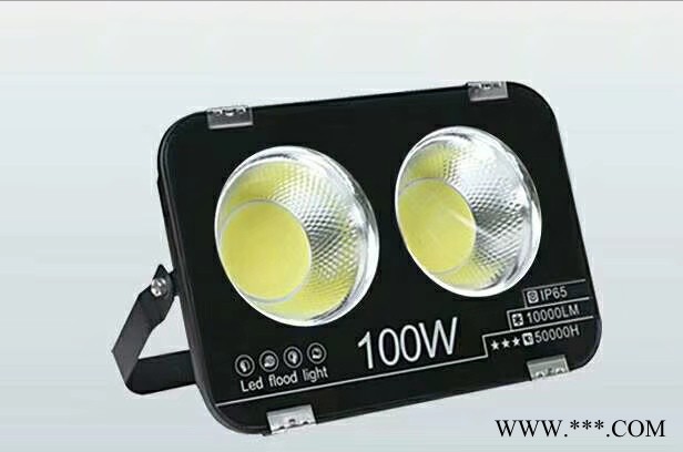 泉城LED100W投光灯 LED射灯200W  LED投光灯  节能LED泛光灯100W图2