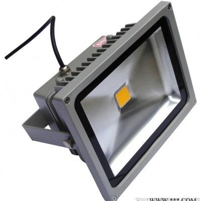 供应三叶照明AVL-TGD-COB-30LED遂道灯（泛光灯）