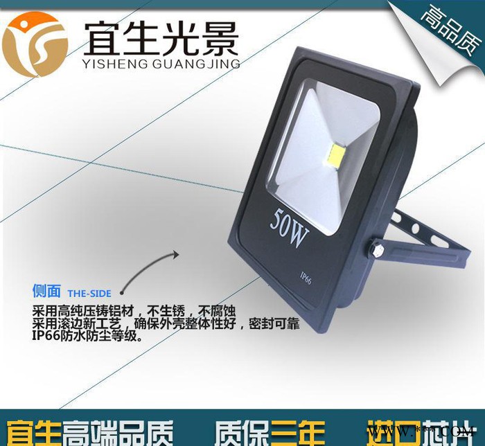 一体化黑色泛光灯 50WLED投光灯 户外景观防水投射灯 照树灯图3
