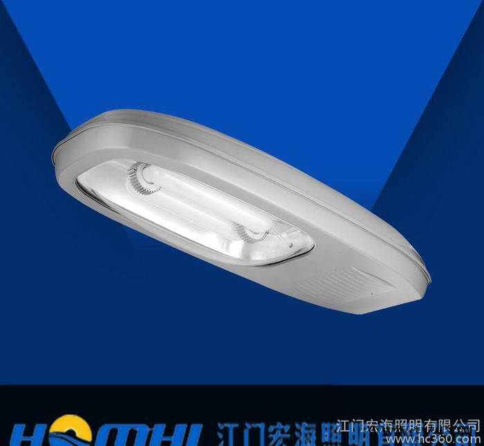 宏海照明63大型工厂道路 城市道路 公路 商场博物馆照明等 大功率无极灯路灯图1
