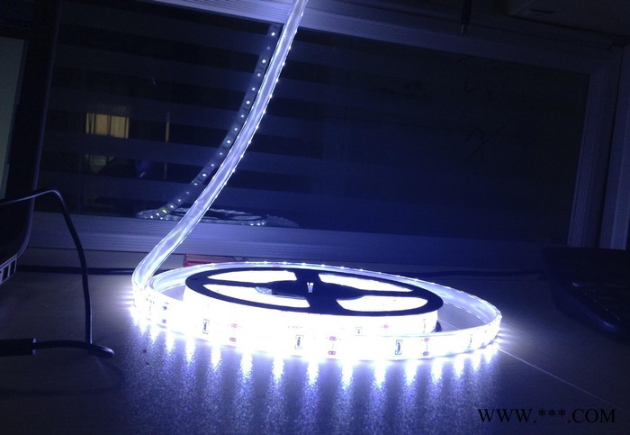 三年质保12V/24V SMD 5050/5630防水led霓虹灯图2