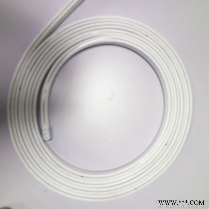 蓝恩2835-120-12V 霓虹灯条 低压霓虹灯条，0.5M一剪图7