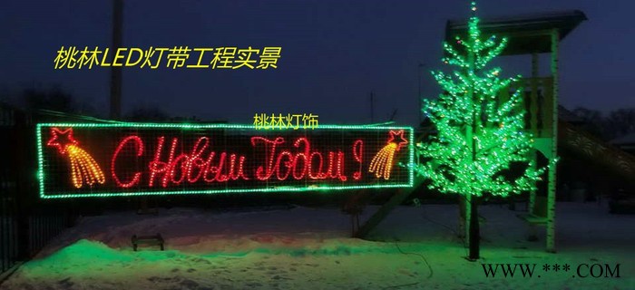 桃林LED灯串LED树灯10米100灯串灯树发光树梦幻灯光节彩灯芦苇灯闪灯喜庆新年圣诞灯装饰灯节日串灯满天星霓虹灯防水图2