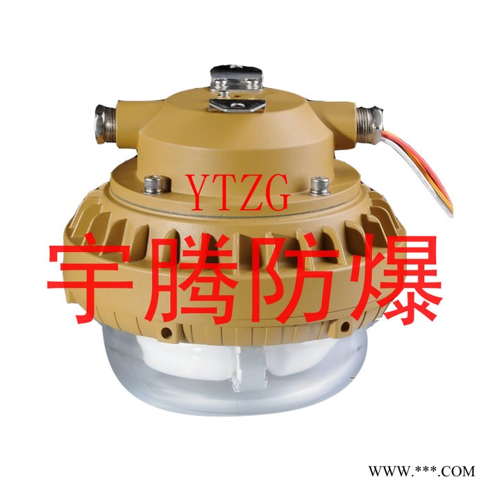 供应安徽宇腾YTW650/660/670(SBD)防爆免维护节能无极灯图2