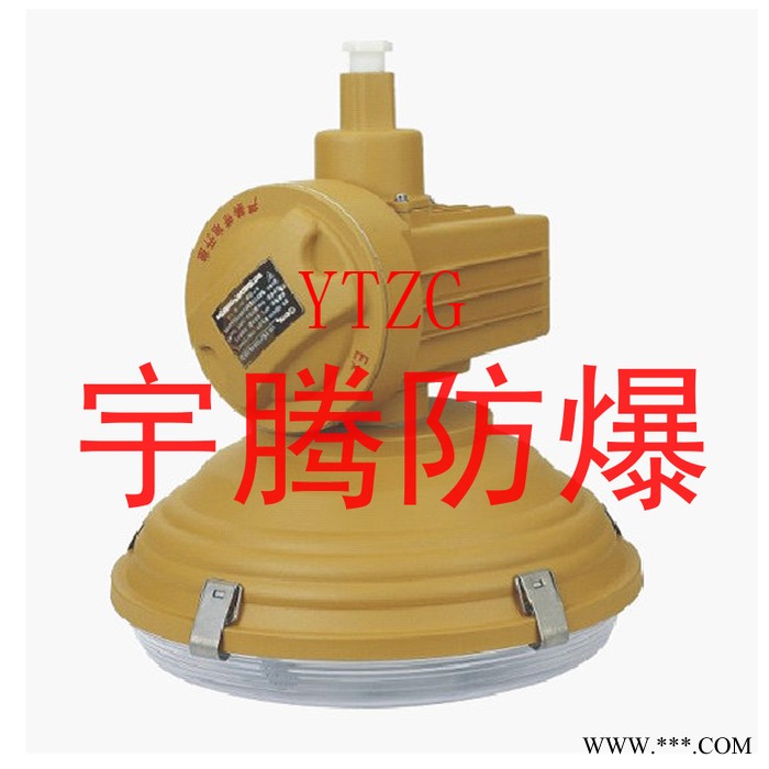 供应安徽宇腾YTW650/660/670(SBD)防爆免维护节能无极灯图3