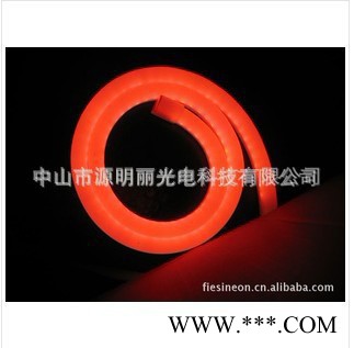 LED柔性灯带LED柔性霓虹管 LED灯带 LED霓虹灯图2