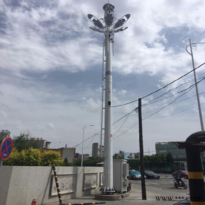 多功能灯杆塔 投光灯塔 灯杆塔 灯杆信号塔 升降式照明灯塔 道路灯塔 钢结构灯塔 彩钢灯塔 避雷针投光灯塔 照明塔图4