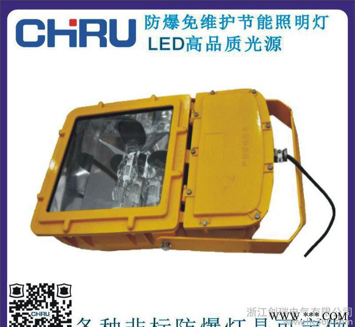创瑞防爆强光泛光灯 节能LED泛光灯 防水防尘防腐免维护泛光灯图1