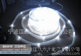 太阳能灯 led灯  庭院灯 圣诞 霓虹灯 100LED 白
