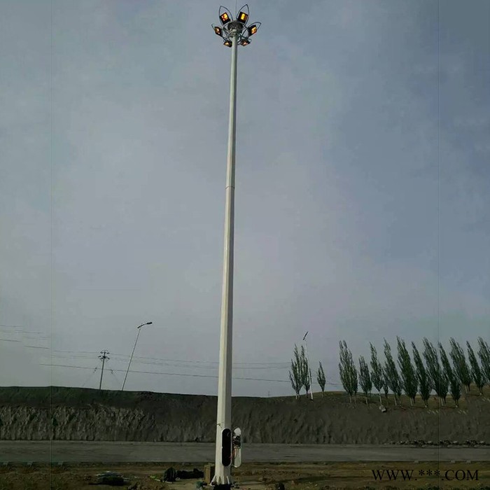 厂家供应投光灯塔 升降照明灯塔 固定投光灯塔图5