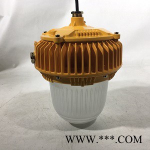 荣登HRD812 防爆泛光灯 强光防爆泛光灯图2