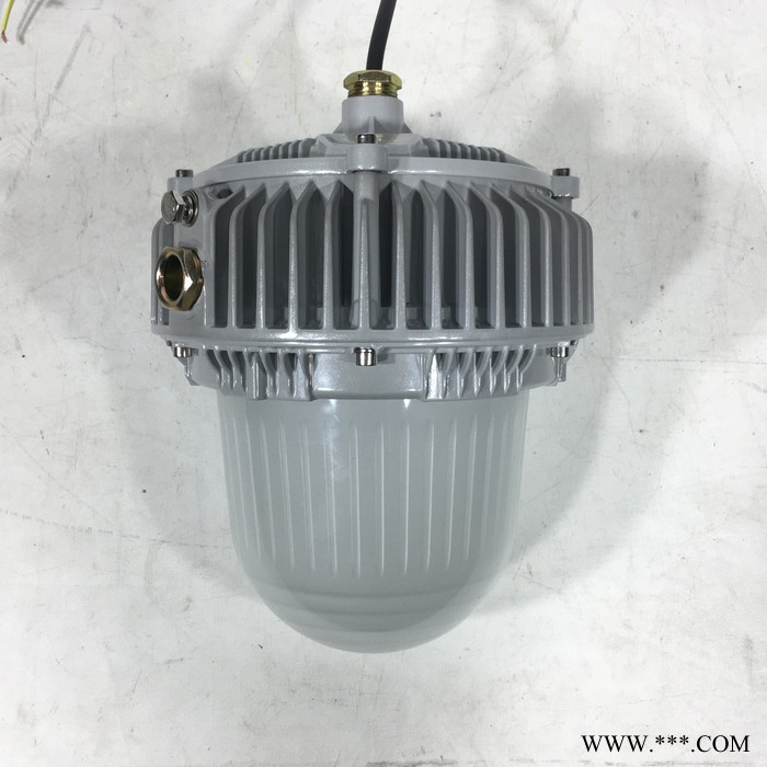 荣登HRD812 防爆泛光灯 强光防爆泛光灯图4