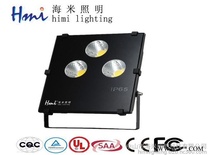 泛光灯、投光灯、LED泛光灯、LED投光灯、LED防爆投光灯、LED节能泛光灯、LED节能投光灯、LED投射灯、图2